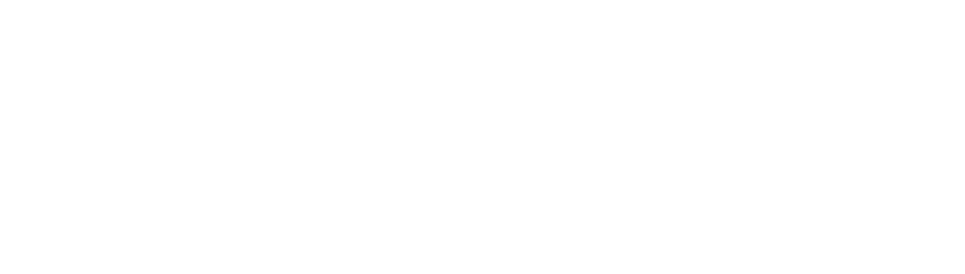 logo ds vektor ohne weiß